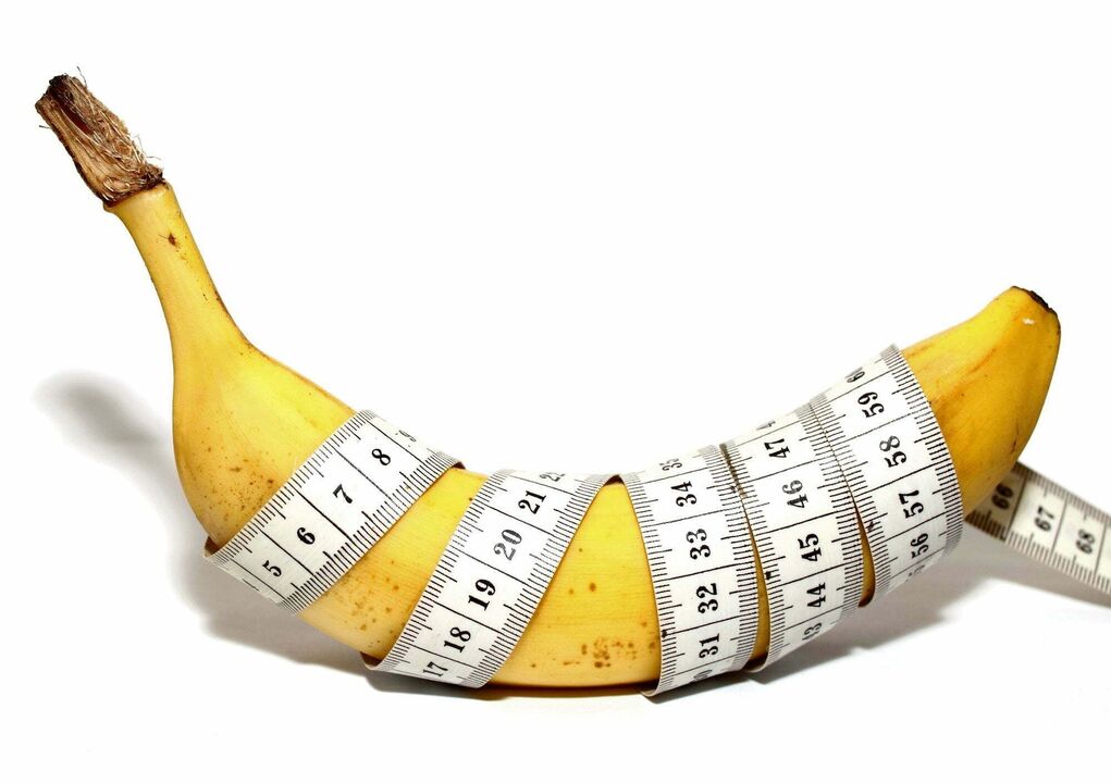 normal Penis Längt