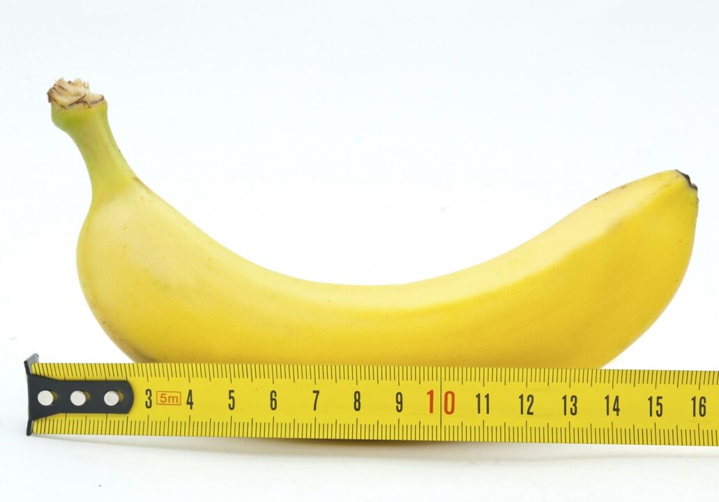 normal Penis Gréisst